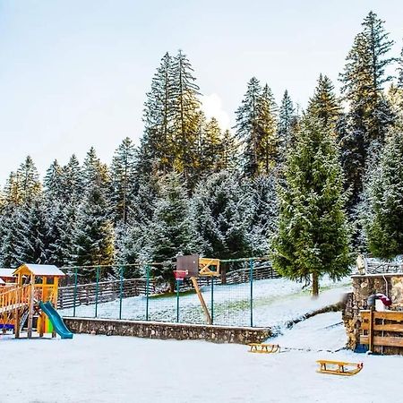 Hotel Floare De Colt Mînăstirea Humorului Dış mekan fotoğraf