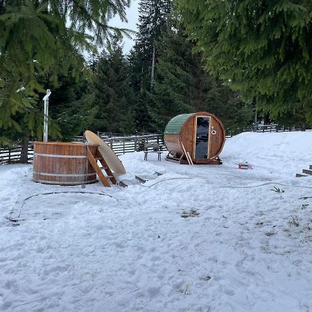 Hotel Floare De Colt Mînăstirea Humorului Dış mekan fotoğraf