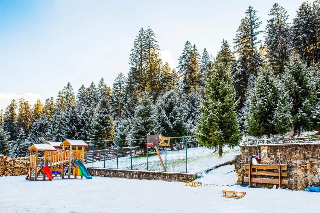 Hotel Floare De Colt Mînăstirea Humorului Dış mekan fotoğraf