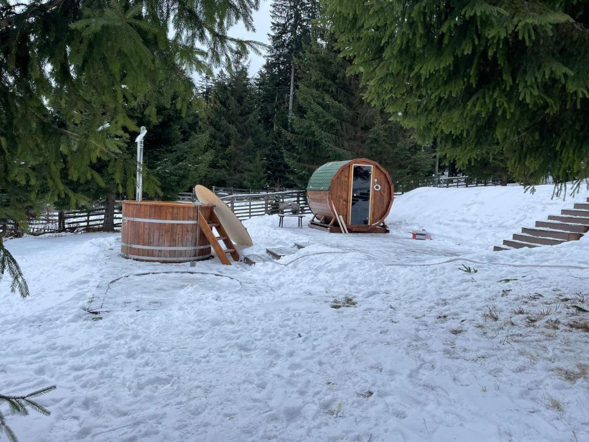 Hotel Floare De Colt Mînăstirea Humorului Dış mekan fotoğraf