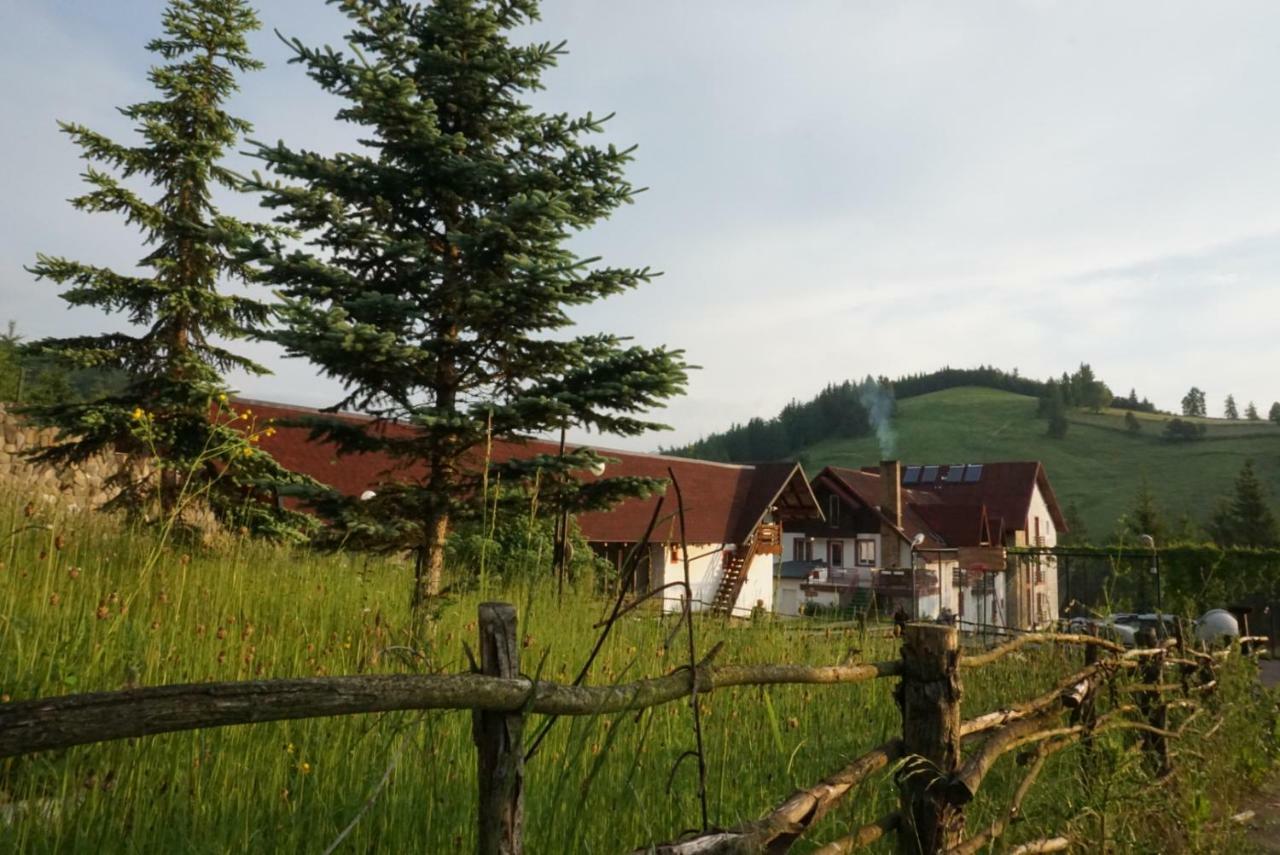 Hotel Floare De Colt Mînăstirea Humorului Dış mekan fotoğraf