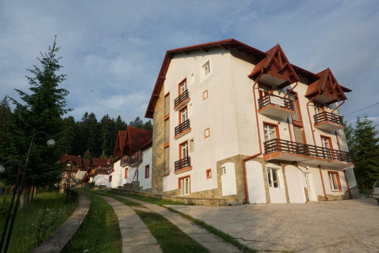 Hotel Floare De Colt Mînăstirea Humorului Dış mekan fotoğraf