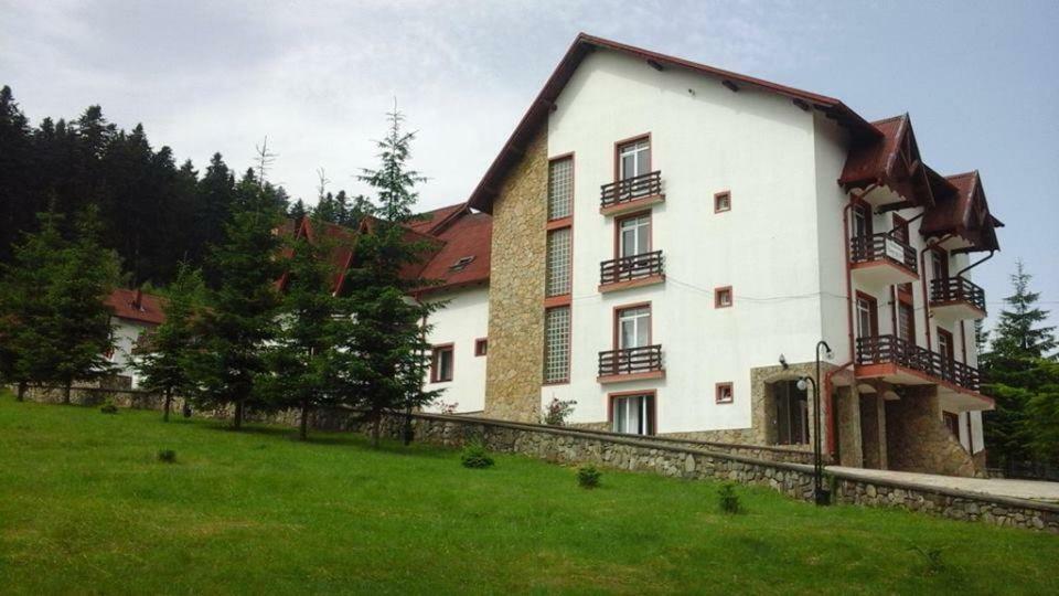 Hotel Floare De Colt Mînăstirea Humorului Dış mekan fotoğraf