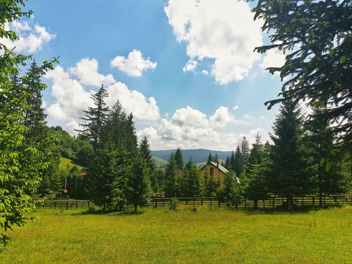 Hotel Floare De Colt Mînăstirea Humorului Dış mekan fotoğraf